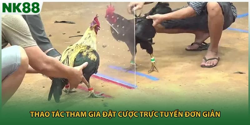 Thao tác tham gia đặt cược trực tuyến đơn giản
